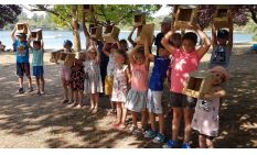 mangeoire oiseaux mangeoire oiseaux